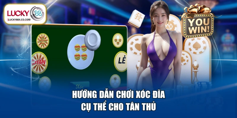 Hướng dẫn chơi Xóc Đĩa cụ thể cho tân thủ